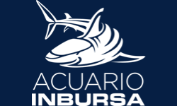 Acuario Inbursa MX