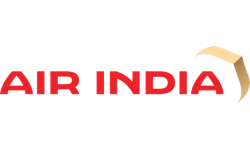 Air India IN logo