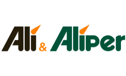 ALI IT logo