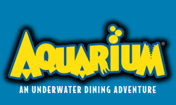 Aquarium US logo
