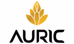 Auric IN logo