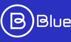 Blue Gift AE logo