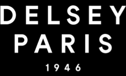 Delsey Paris AR