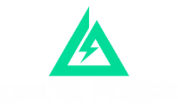 Delta Force Coin (INT) SA logo