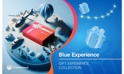 Dreamdays Blue Experience AE logo