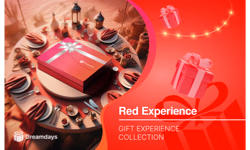 Dreamdays Red Experiences AE logo