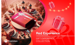 Dreamdays Red Experiences AE