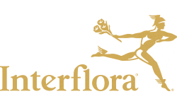 Interflora IT logo