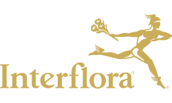 Interflora IT