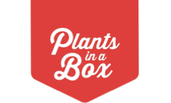 Plants in a Box AU
