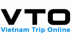 VTO VN logo