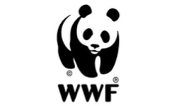 WWF NO