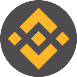 Available in Binance Smart Chain Network