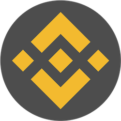 Available in Binance Smart Chain Network